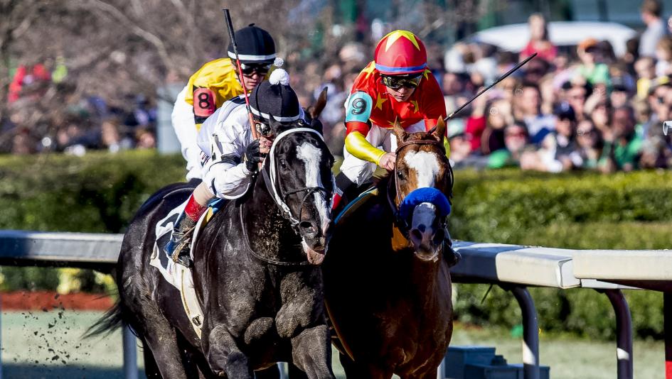 Long Range Toddy edges Improbable in division one of the Rebel Stakes on March 16 to earn his way into the top 10.