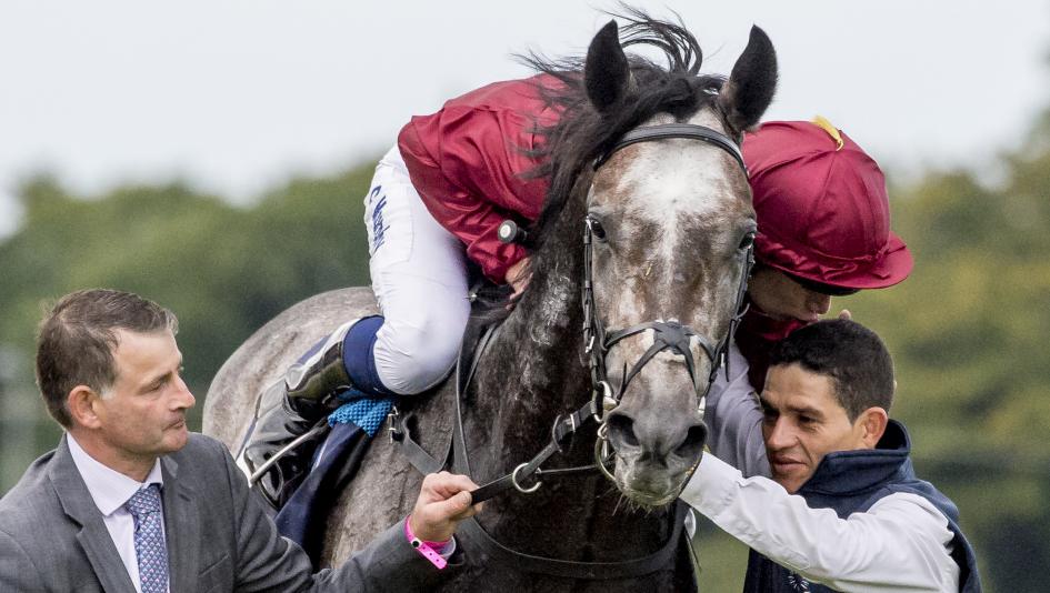 Roaring Lion could be a major Longines Breeders' Cup Turf threat if he ships from Europe for the race.