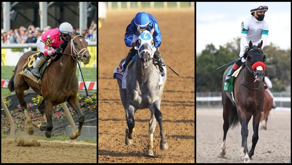 images Belmont Stakes 2021 Horses https www americasbestracing net the sport 2021 2021 belmont stakes quick sheet get know the belmont horses