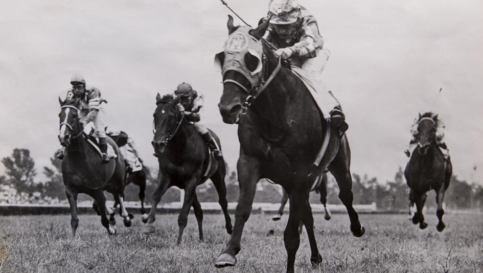 Round Table Champion On The Turf America S Best Racing Round Table Champion On The Turf, Round Table Racing