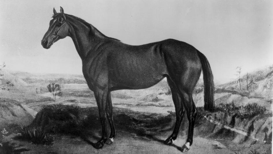 Ruthless: The First Belmont Stakes Winner