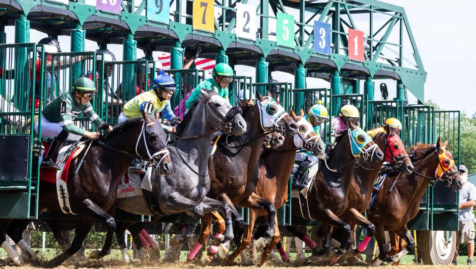 TV, television, radio, streaming, horse racing, Jim Dandy Stakes, Bing Crosby Stakes, FOX, FS1, FS2, FanDuel TV, Saratoga, Del Mar, Woodbine, Ellis Park, Gulfstream Park, King George, Queen Elizabeth, Breeders’ Cup, RTN, HRRN, Byk, ABR, Sovereignty