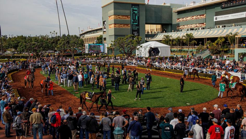 Santa Anita Park, weekend winners, betting, gambling, Eddie D, John Henry Turf, Mondego, Sinsel Atitlan, Pure Madness, Sumter, Freedom’s Not Free, exacta, trifecta, turf, odds, jockey, Juan Hernandez, horse racing, ABR