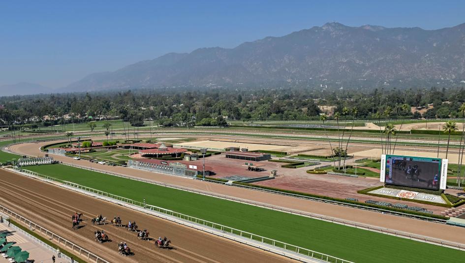 Sunset Pick 6, Santa Anita Park, Gulfstream Park, wager, betting, gambling, City Exile, Lammas, Aligato, Lovesick Blues, Man O Rose, Todd Pletcher, Peter Miller, Edgard Zayas, horse racing, horseplayer, ABR