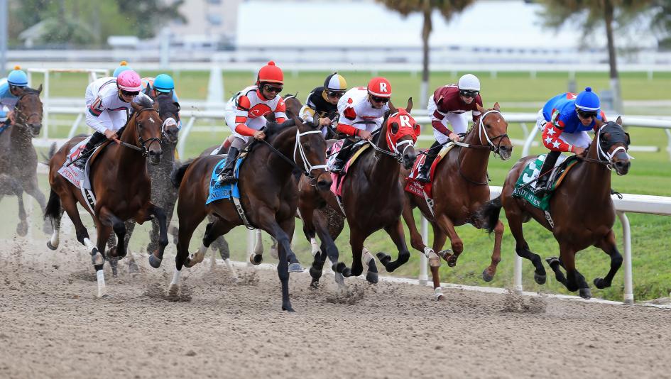 2020 Louisiana Derby at a Glance | America's Best Racing