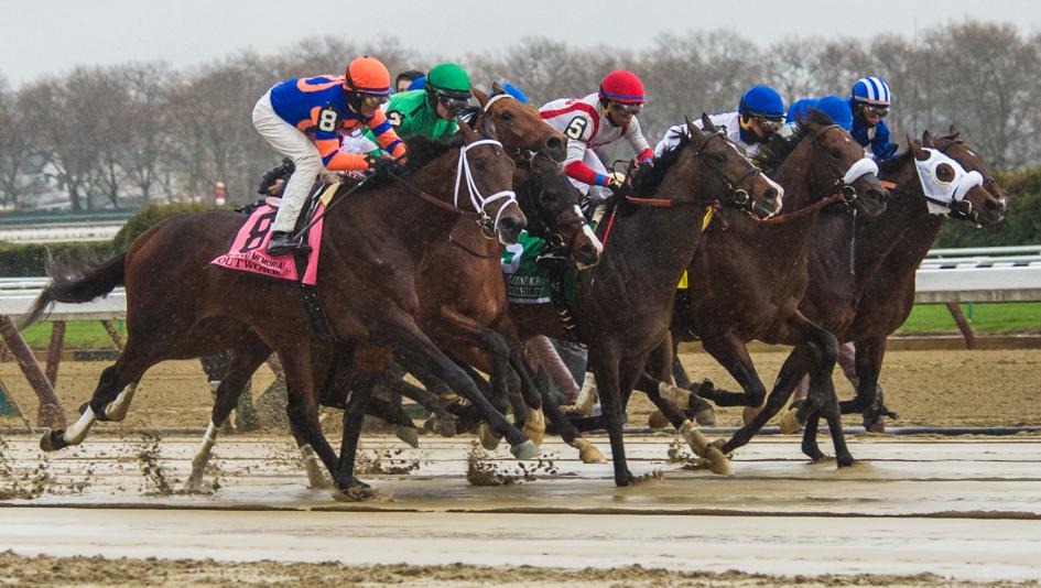 Wood Memorial Stakes Aqueduct Kentucky Derby Triple Crown