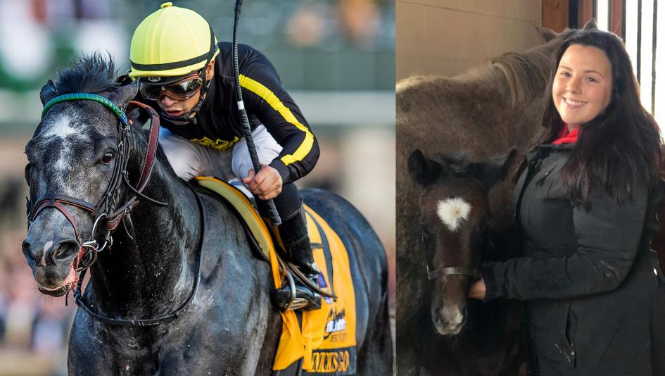 Sabrina Moore bred Grade 1 winner and Breeders' Cup contender Knicks Go.