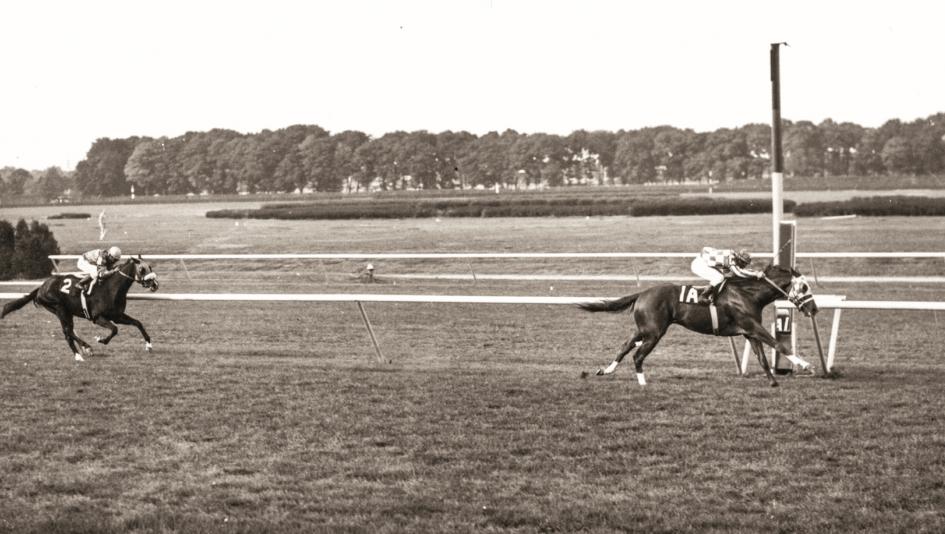 Secretariat, Man o' War Stakes, Belmont Park, BloodHorse Library Secretariat, Man o' War Stakes, Belmont Park, BloodHorse Library
