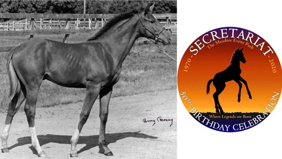 A celebration will be held in honor of the 50th birthday of Secretariat, pictured as a foal at Meadow Stable. The autographed photo will be auctioned in conjunction with the celebration. A celebration will be held in honor of the 50th birthday of Secretariat, pictured as a foal at Meadow Stable. The autographed photo will be auctioned in conjunction with the celebration.