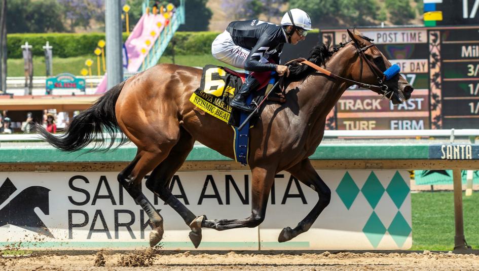 Seismic Beauty, Clement L. Hirsch Stakes, Del Mar, Bob Baffert, America's Best Racing, horse racing, ABR Seismic Beauty, Clement L. Hirsch Stakes, Del Mar, Bob Baffert, America's Best Racing, horse racing, ABR