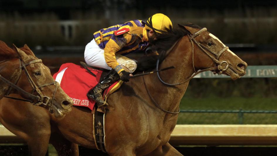 Signalman broke through with his first graded stakes win in the Kentucky Jockey Club Stakes.