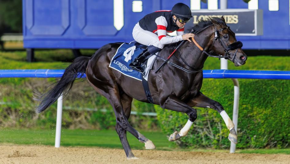 Six Speed Cruises in UAE Two Thousand Guineas, Takes Big Step Toward Kentucky Derby