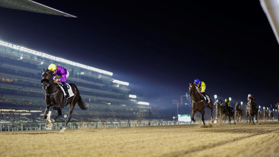 2026 United Arab Emirates Derby at a Glance