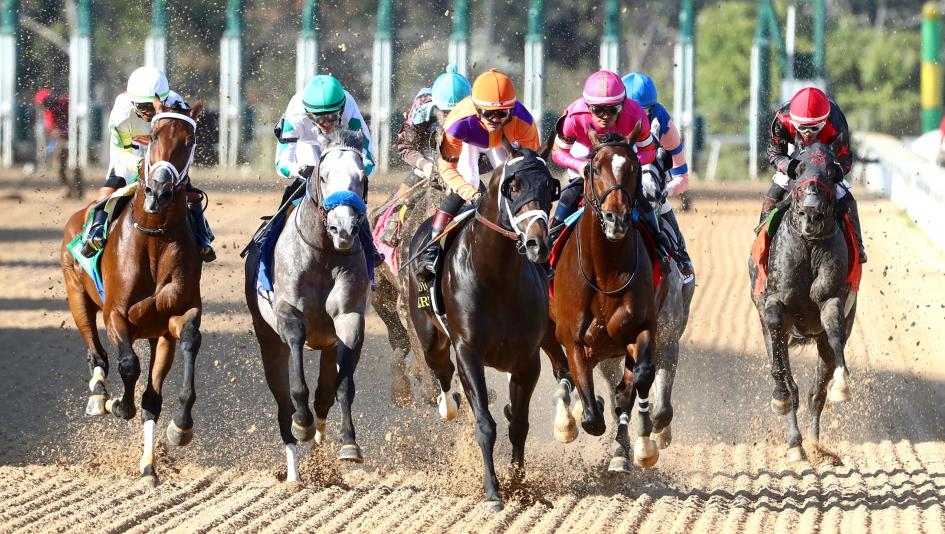 Skippylongstocking, Essex Handicap, Oaklawn Park, ABR, America's Best Racing, Triple Crown, Kentucky Derby, horse racing