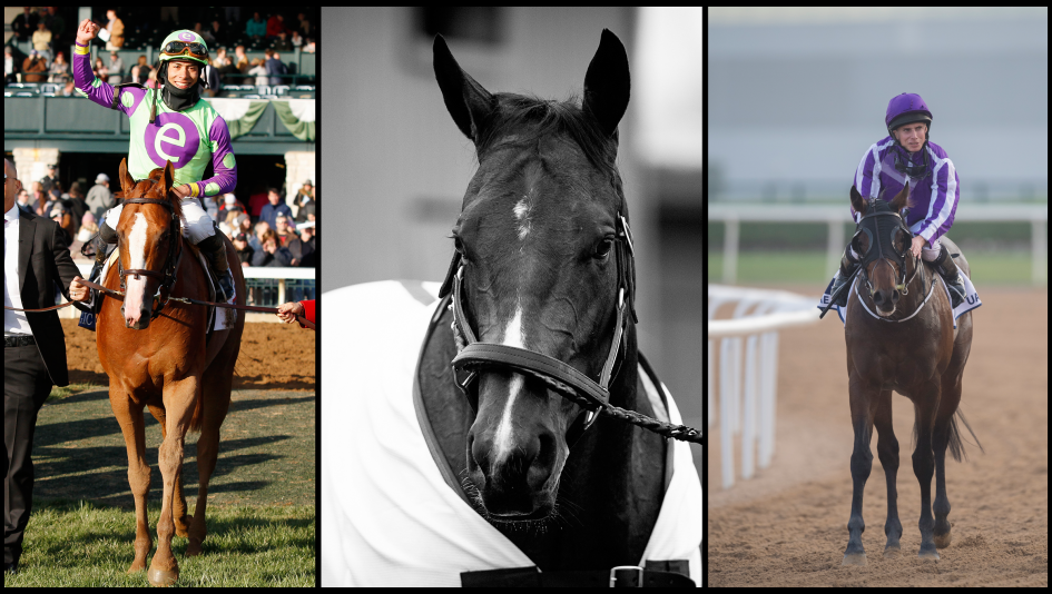 best dating kentucky derby pick best dating kentucky derby pick