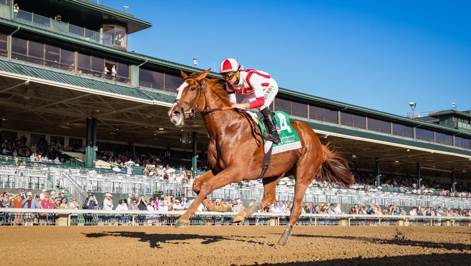 Fully Subscribed, Nitrogen, Breeders' Cup Distaff, Keeneland, Breeders' Cup, horse racing, America's Best Racing, ABR