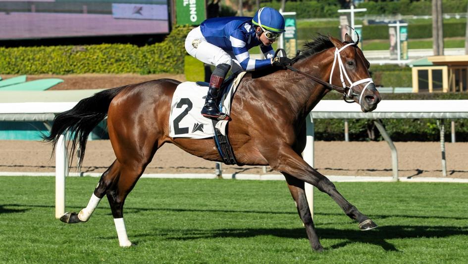 Betting an Accomplished Turf Horse in 2026 Jeff Ruby Steaks