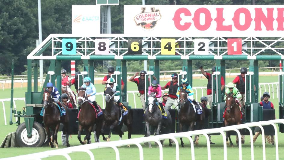 Secretariat Stakes, Colonial Downs, America's Best Racing, horse racing, ABR Secretariat Stakes, Colonial Downs, America's Best Racing, horse racing, ABR