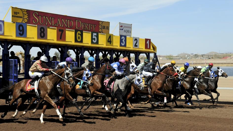 Live Longshot Balandeen Offers Value in Sunland Derby America's Best