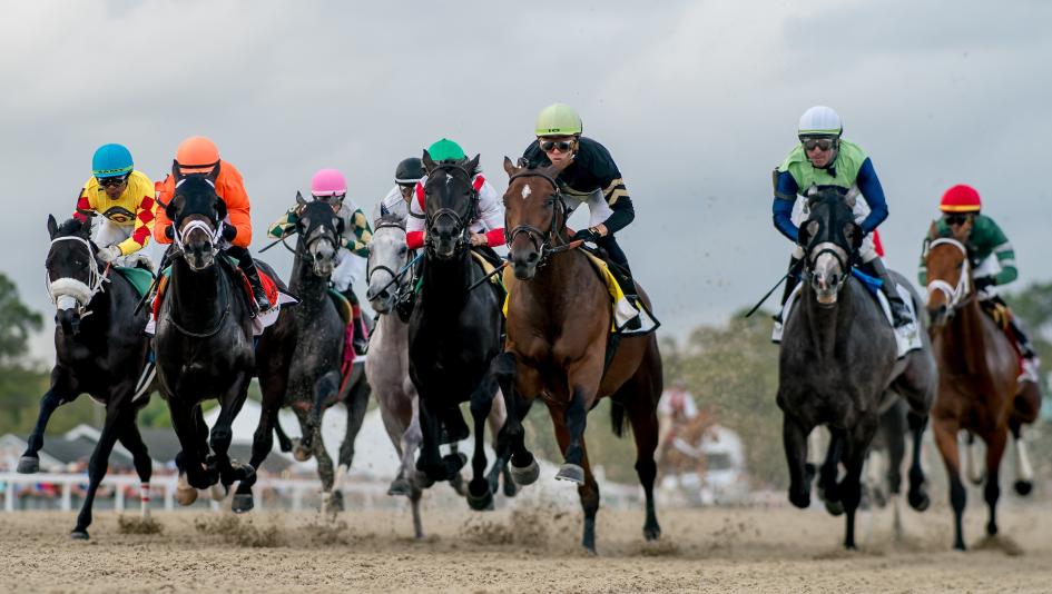 Derby Dozen BloodHorse Byron King Kentucky Derby Dornoch Fierceness Sierra Leone Forever Young Timberlake Track Phantom Catching Freedom Mystik Dan Tuscan Sky Deterministic Conquest Warrior Hades Domestic Product 