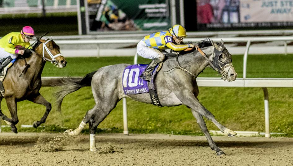 Enforceable is a Derby contender to watch after winning the Lecomte Stakes.