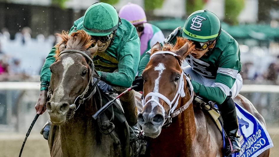 Vino Rosso (right) and Code of Honor impressed in Saturday's Jockey Club Gold Cup.