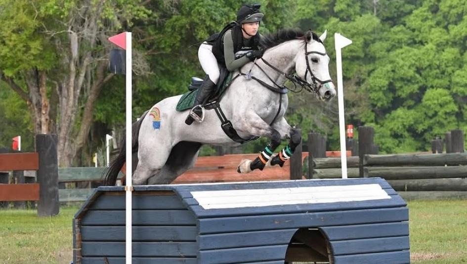 Thoroughbred Incentive Program Announces 2026 Shows and Championships