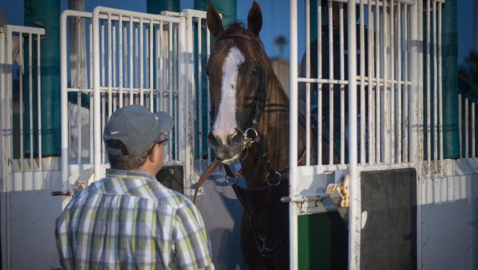 California Chrome wins $1 million Pacific Classic