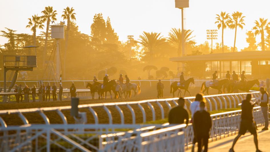 Santa Anita Park, Jenny Doyle, Photo Stable Santa Anita Park, Jenny Doyle, Photo Stable