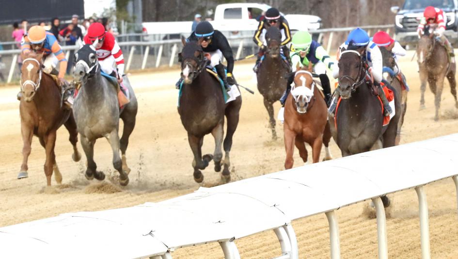 Kentucky Derby, Heating Up, Cooling Down, contenders, Incredibolt, The Puma, Potente, Further Ado, Robusta, Canaletto, So Happy, Brant, Buetane, Virginia Derby, Tampa Bay Derby, San Felipe Stakes, horse racing, ABR