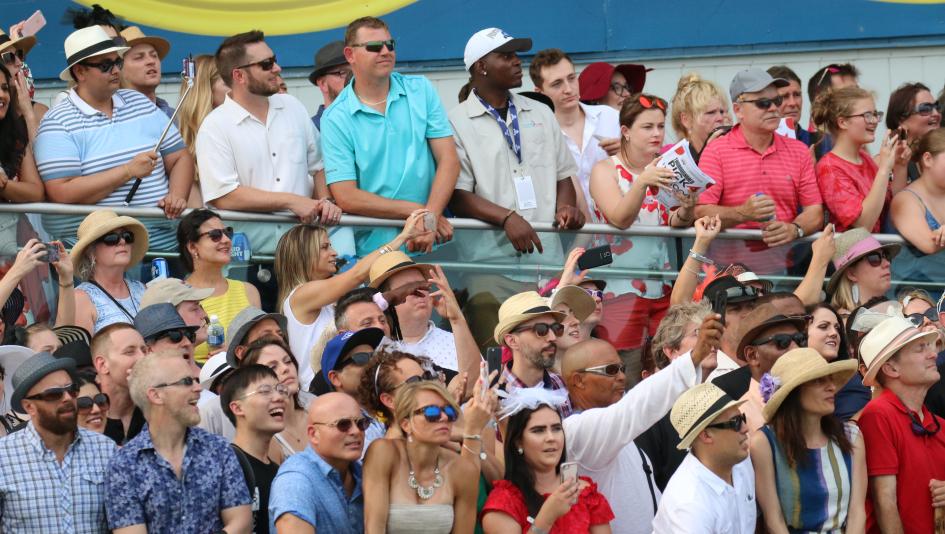E. P. Taylor Stakes, Woodbine, turf, fillies, mares, Breeders’ Cup, Gimme a Nother, Jancis, Diamond Rain, Somethinabouther, Achieve, Sultana, exacta, trifecta, favorite, longshot, gambling, betting, odds, horse racing, ABR