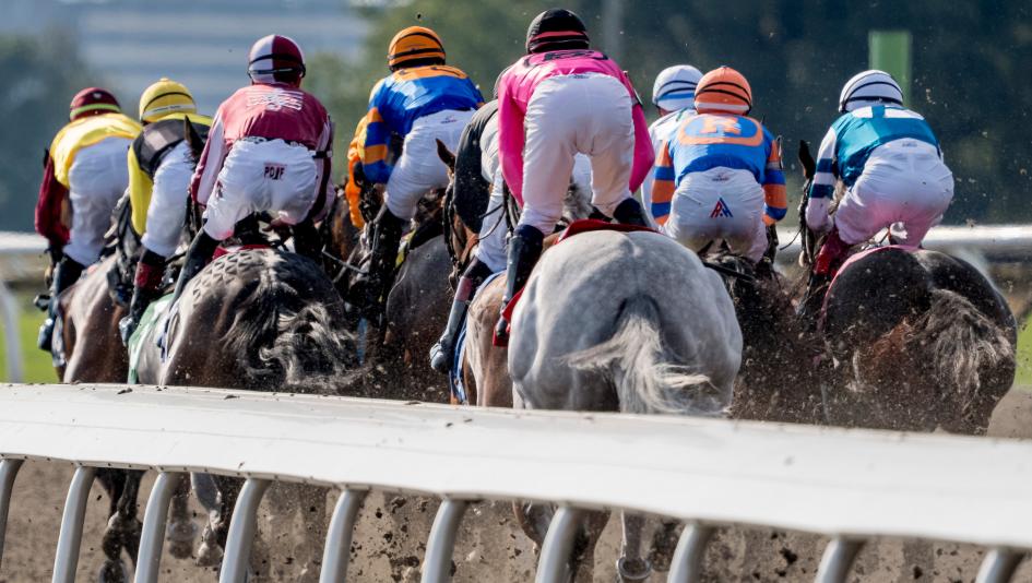 Woodbine, Woodbine Oaks, betting, gambling, trifecta, superfecta, Selene, Piper’s Gift, Dixie Law, Katie’s Grace, Luster, budget, all-weather, Tapeta, fillies, Triple Tiara, horse racing, ABR