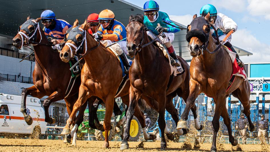 Immagine delle corse dei cavalli Gazelle Stakes