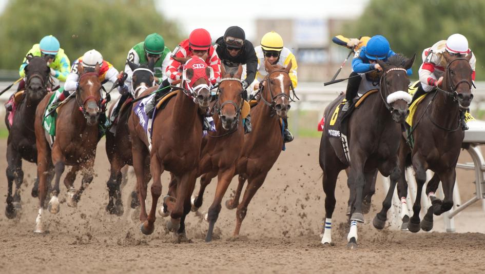 Woodbine Oaks, Innisfree Isle, Woodbine, America's Best Racing, horse racing, ABR