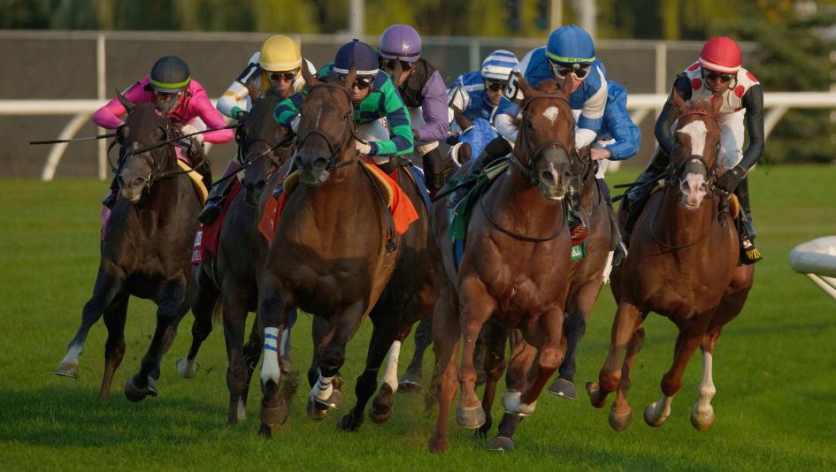 Win for the Money, Woodbine, Woodbine Mile, America's Best Racing, horse racing, ABR