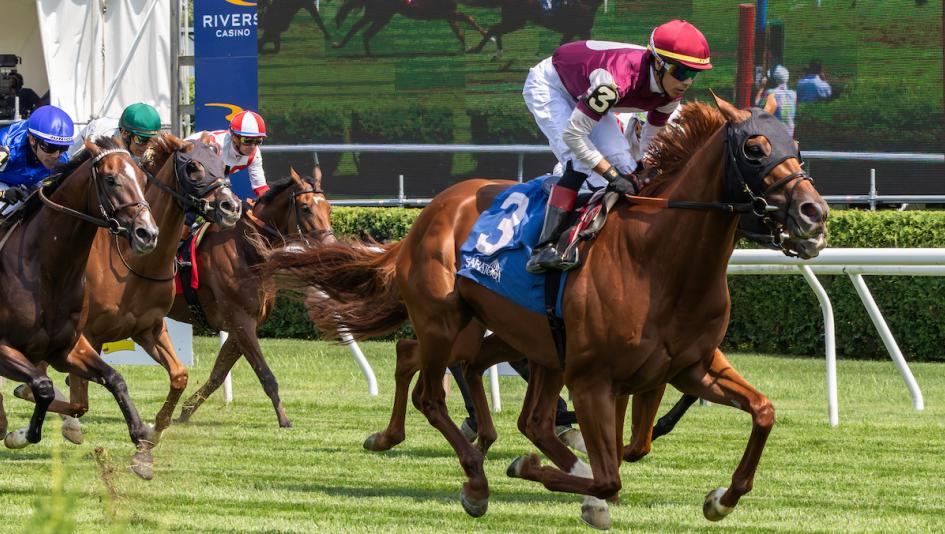 Red Smith Stakes, Aqueduct, Rebel Red