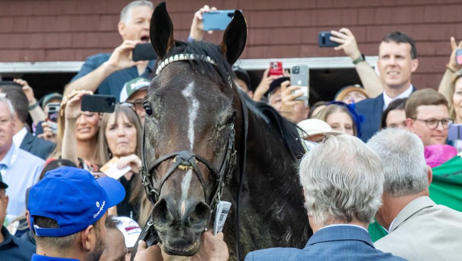 Sovereignty Stands Strong Atop Breeders' Cup Classic Power Rankings