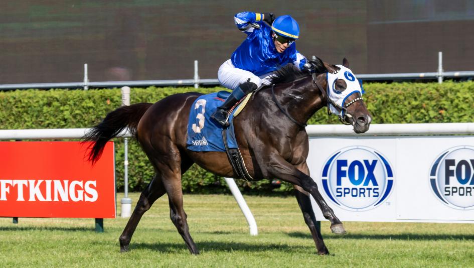 Think Big, Fourstardave, Saratoga Race Course, Breeders' Cup Mile, America's Best Racing, horse racing, ABR