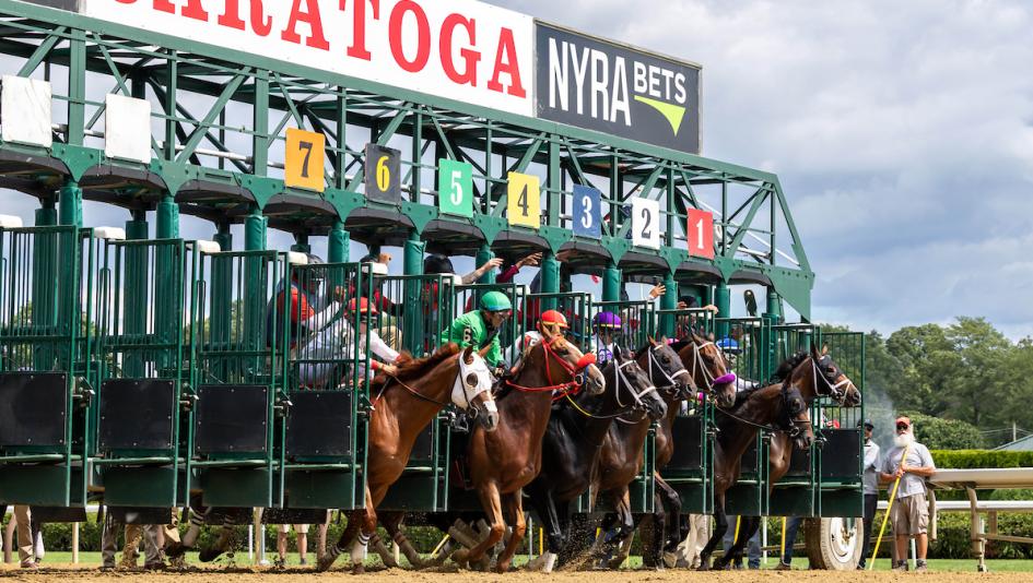 Noel Michaels handicapping, America's Best Racing Sunday Selections, Saratoga