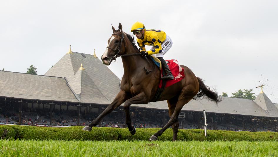 La Mehana, Saratoga Race Course, Flower Bowl Stakes, Glens Falls, Saratoga Race Course, America's Best Racing, horse racing, ABR