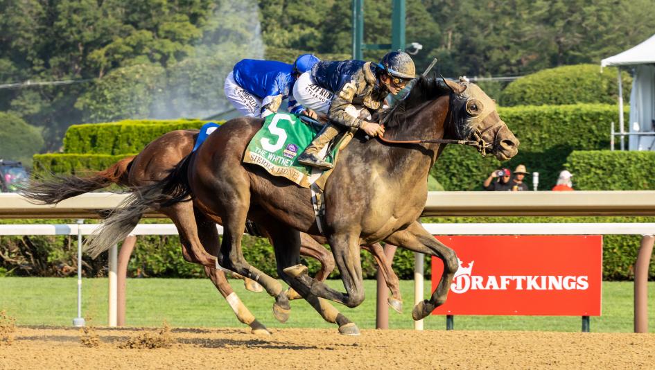 Sierra Leone, Whitney Stakes, Saratoga Race Course, America's Best Racing, horse racing, ABR