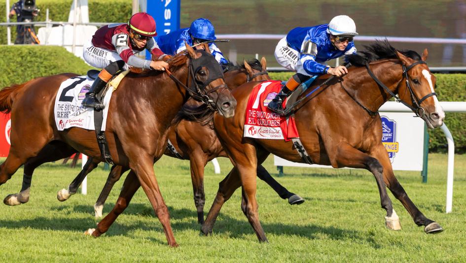 Euro Invader El Cordobes Wins Sword Dancer, Earns Spot in Breeders Cup Turf