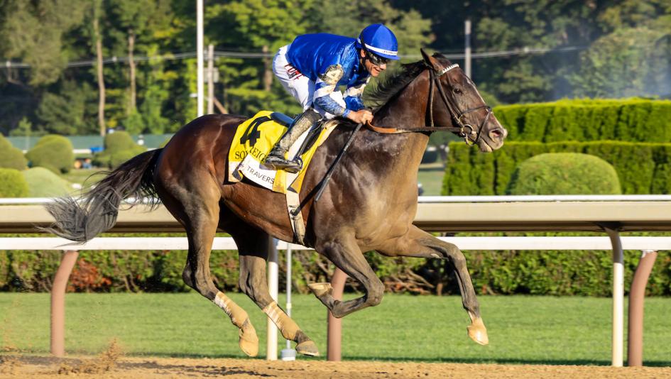 2025 Longines Breeders' Cup Classic, Sovereignty, Fierceness, Antiquarian