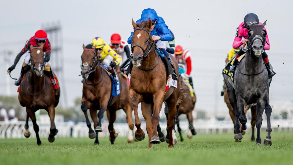 Ten Things You Need to Know About the 2026 Woodbine Mile | America's ...