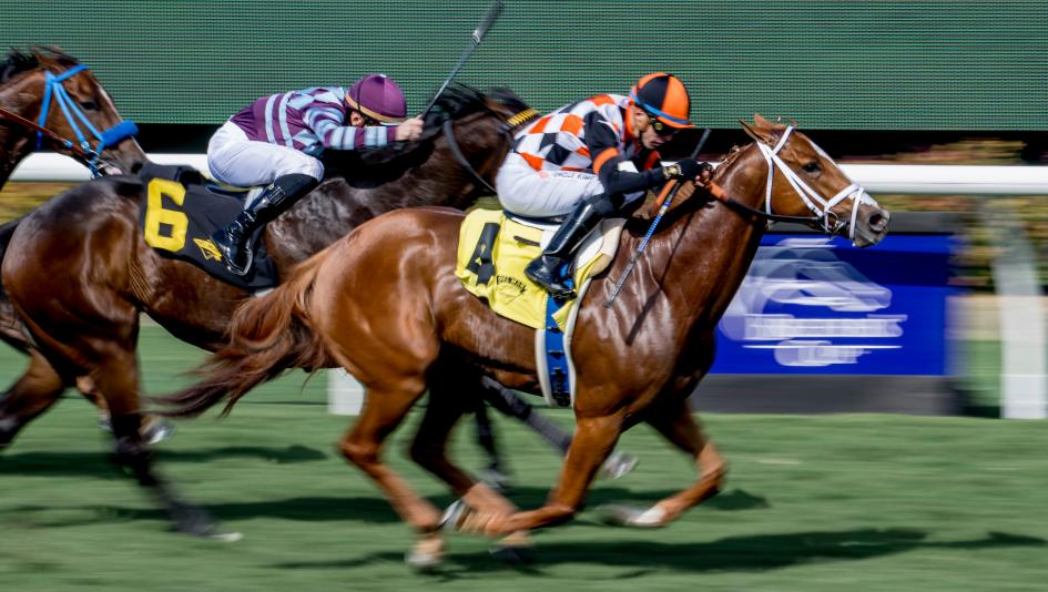 Queen Maxima, Senator Ken Maddy Stakes, Del Mar, Las Cienegas Stakes, Santa Anita Park, America's Best Racing, horse racing, ABR