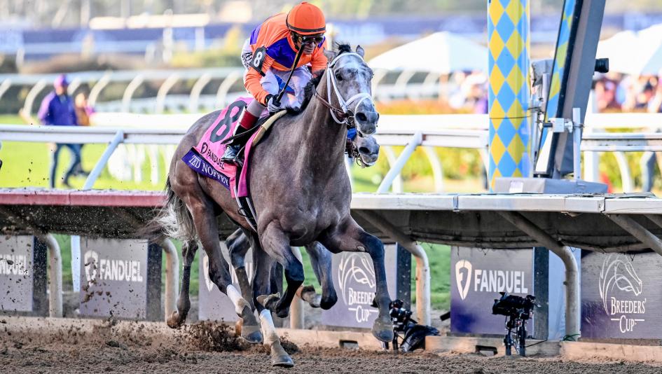 Champion Ted Noffey Off Kentucky Derby Trail With Injury, Could Return in Summer 