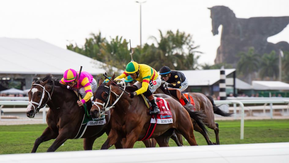 Gulfstream Park, Americas Best Racing Sunday Selections, Noel Michaels handicapping