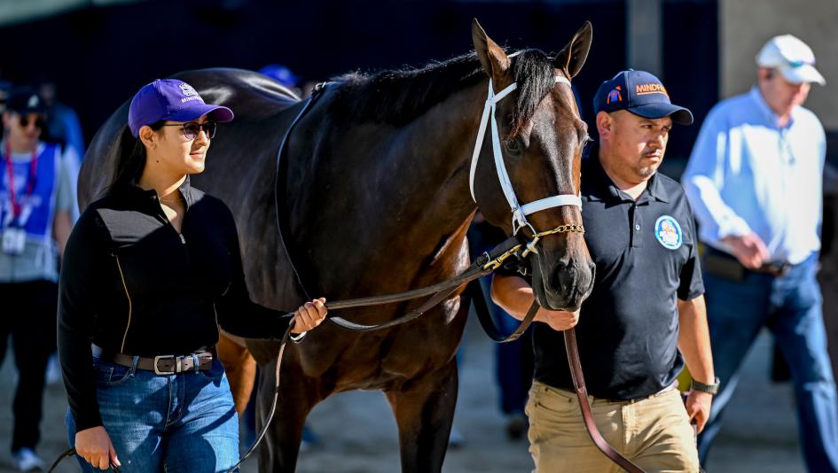 Breeders’ Cup Classic, Del Mar, Fierceness, Sierra Leone, Journalism, Baeza, Mindframe, Forever Young, Nevada Beach, Antiquarian, America's Best Racing, horse racing, ABR  Breeders’ Cup Classic, Del Mar, Fierceness, Sierra Leone, Journalism, Baeza, Mindframe, Forever Young, Nevada Beach, Antiquarian, America's Best Racing, horse racing, ABR