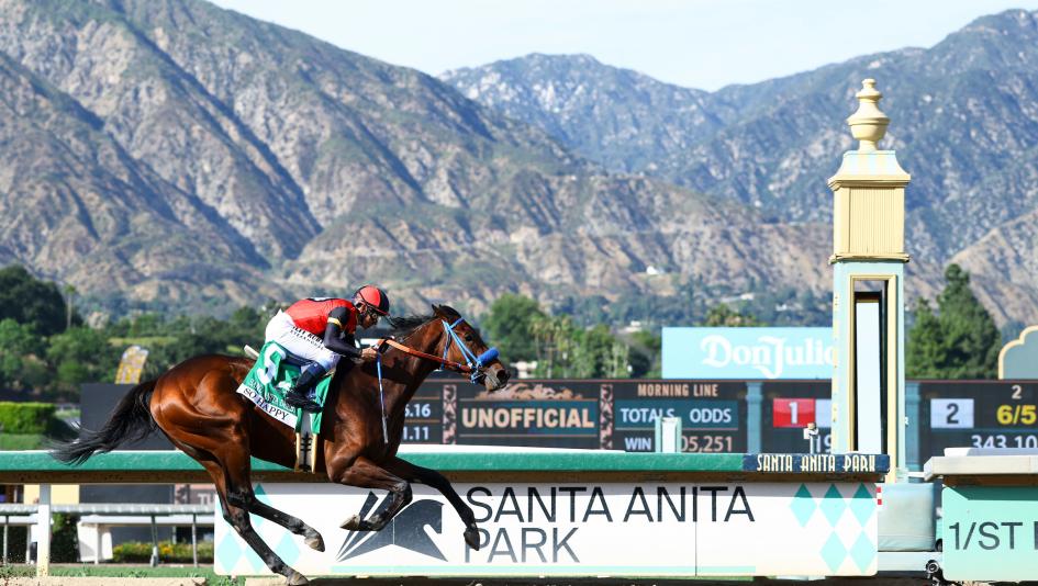 Santa Anita Park, Americas Best Racing Sunday Selections, Noel Michaels handicapping