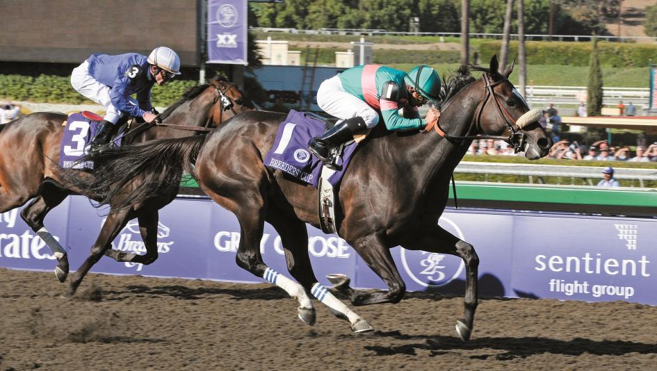 Zenyatta, Mike Smith, Breeders' Cup Distaff, Keeneland, horse racing, America's Best Racing, ABR